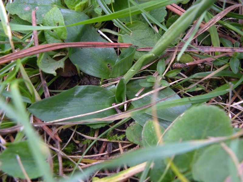 DSCN8852.JPG
